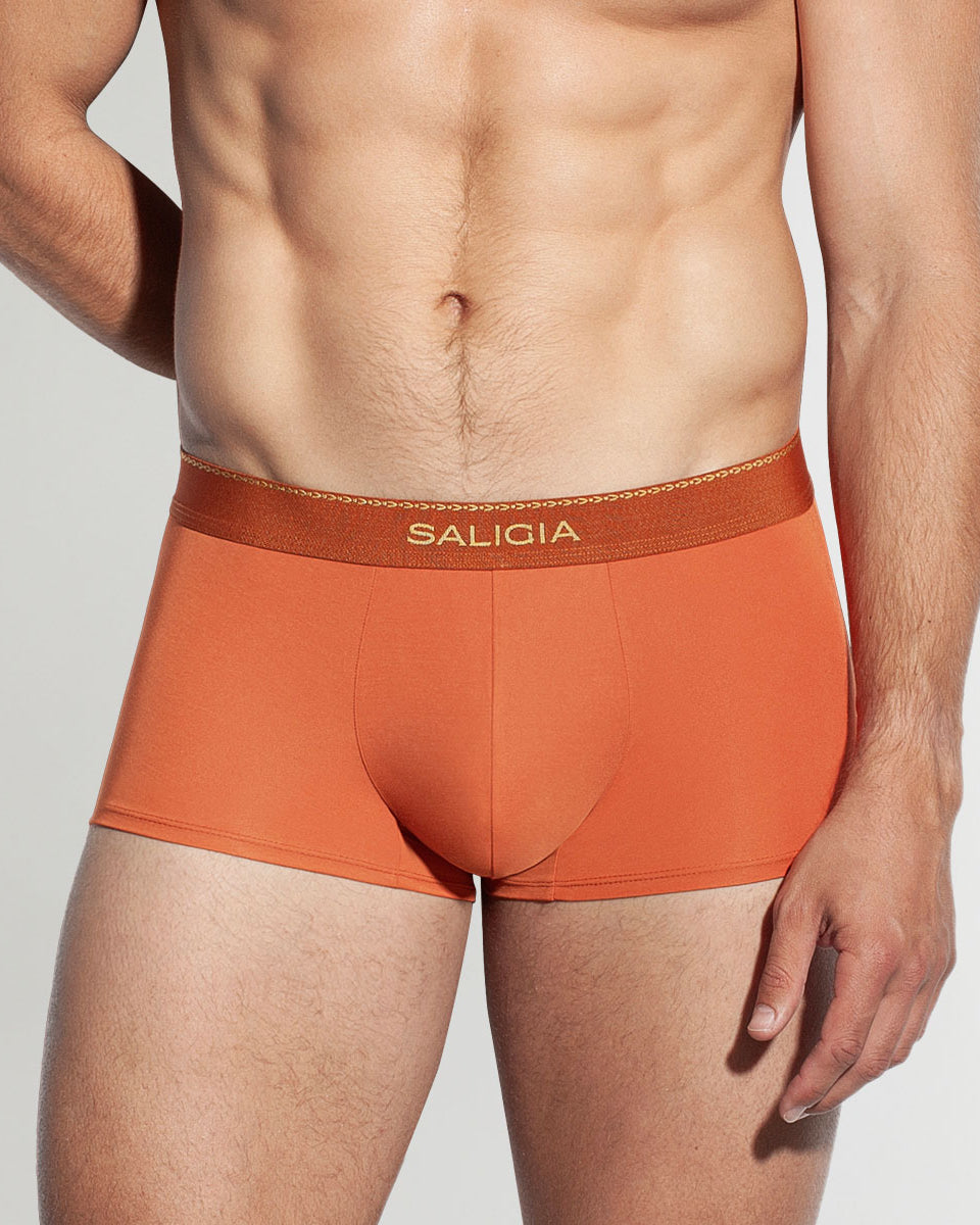 Saligia Greek Ivy Trunk Dark-orange