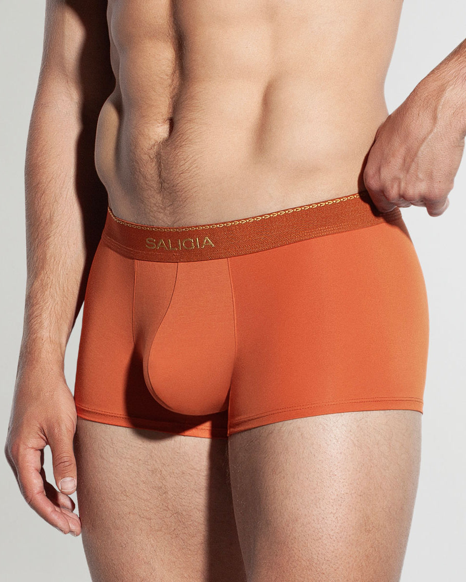 Saligia Greek Ivy Trunk Dark-orange