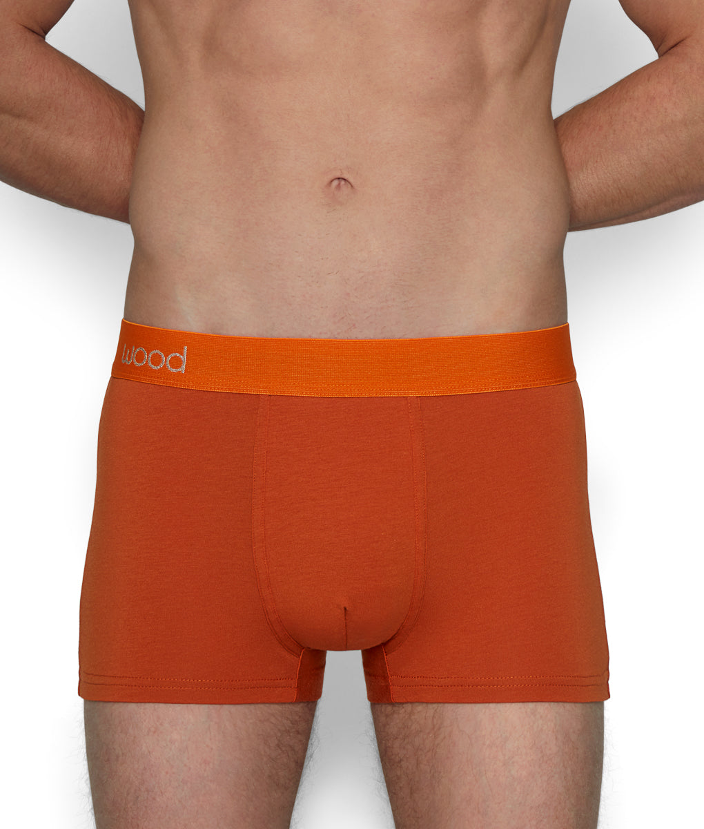 Wood Trunk Wood Trunk Orange
