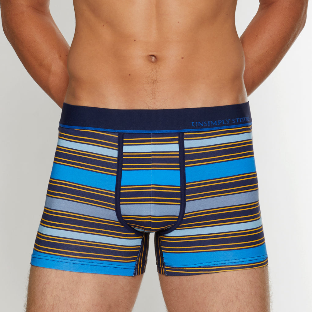 Unsimply Stitched Century Stripe Trunk Unsimply Stitched Century Stripe Trunk Blue-multi