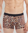 2(X)IST SLIQ Trunk 2(X)IST SLIQ Trunk Mixed-leopard