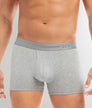 2(X)IST Dream Low Rise Trunk Grey-heather