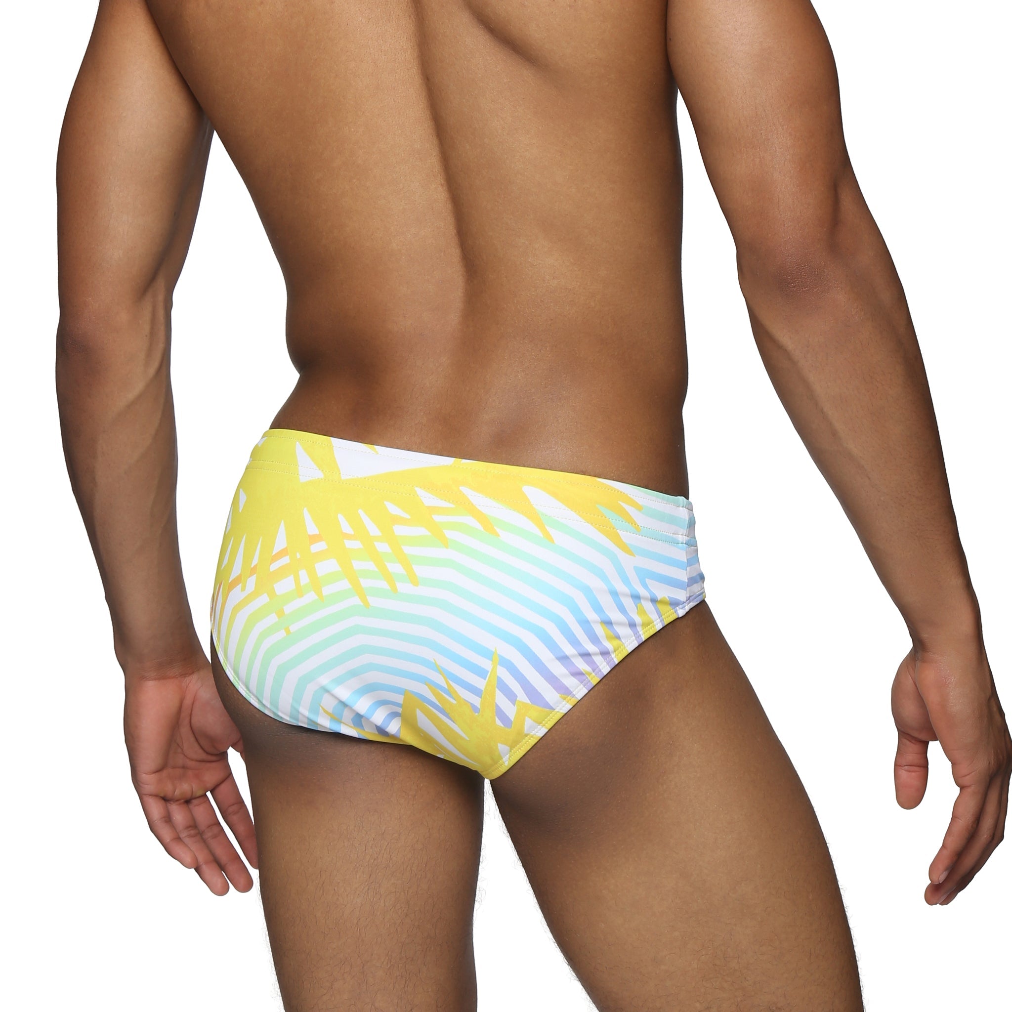 Parke & Ronen Sun Praia Meridian Bikini - mens swim briefs back view