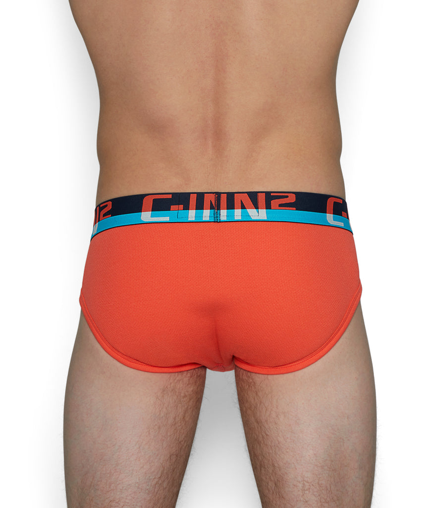 C-IN2 C-Theory Brief C-IN2 C-Theory Brief Coral-red