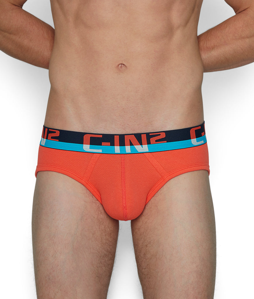C-IN2 C-Theory Brief C-IN2 C-Theory Brief Coral-red