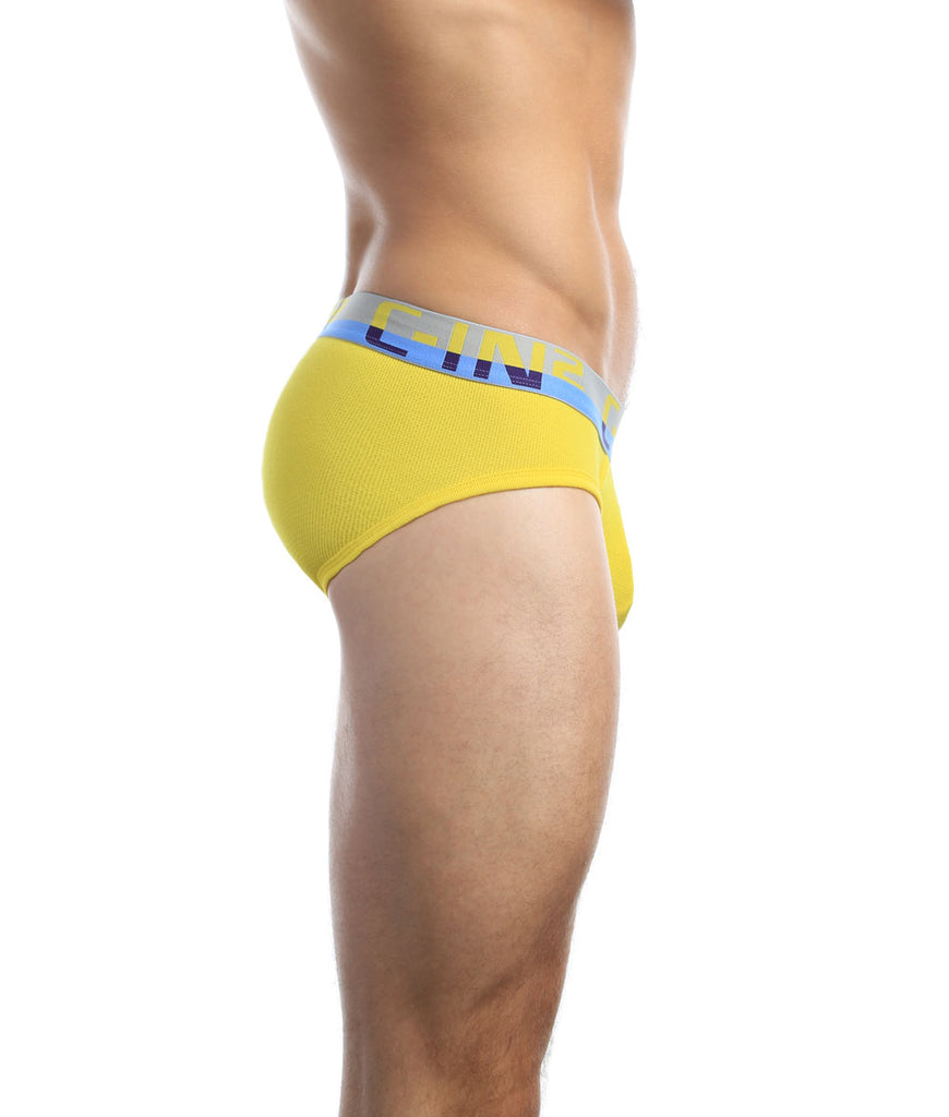 C-IN2 C-Theory Brief C-IN2 C-Theory Brief Olympic-gold
