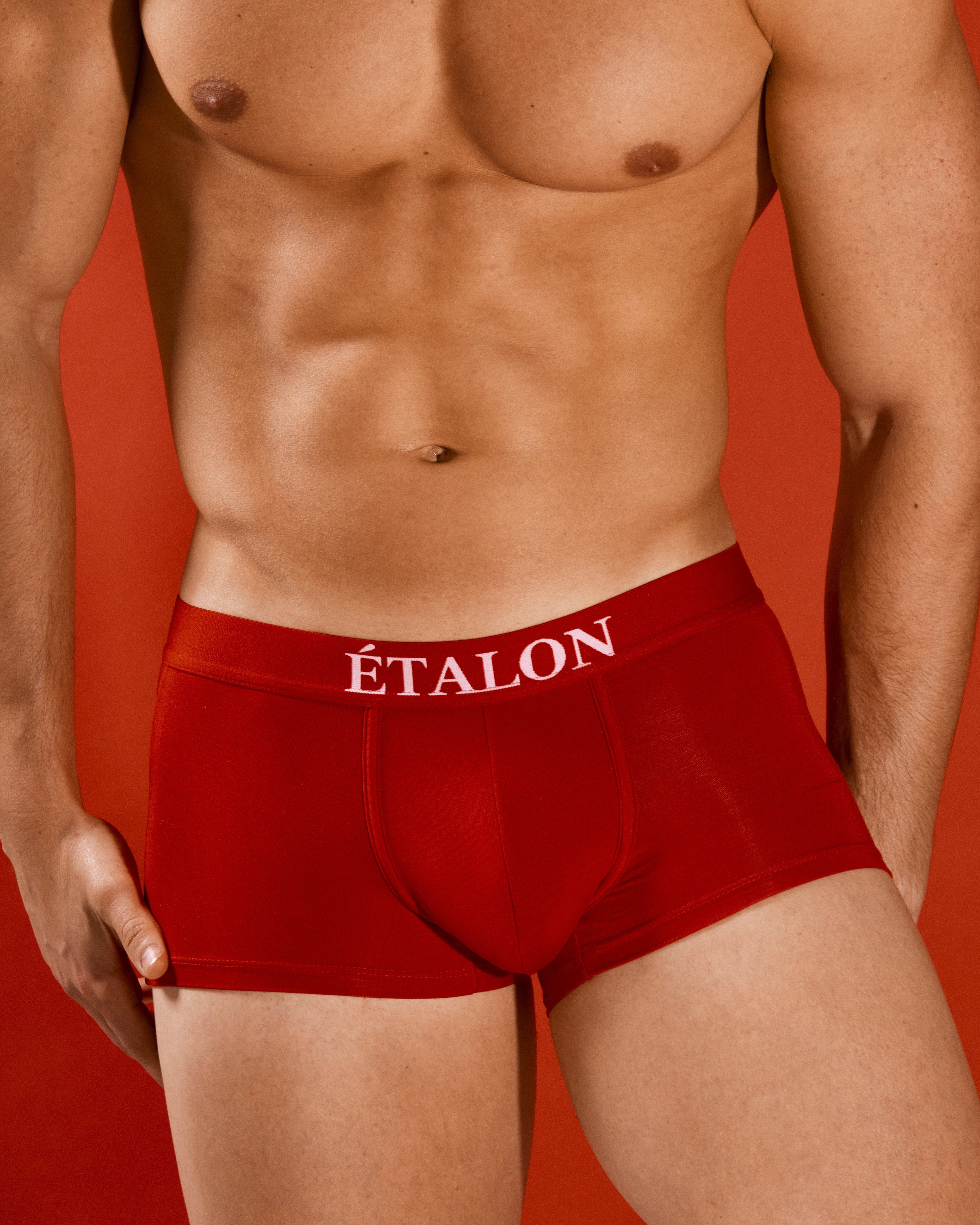 Etalon Signature Boxer Brief - mens boxer briefs 1-inch waistband branding, close-up