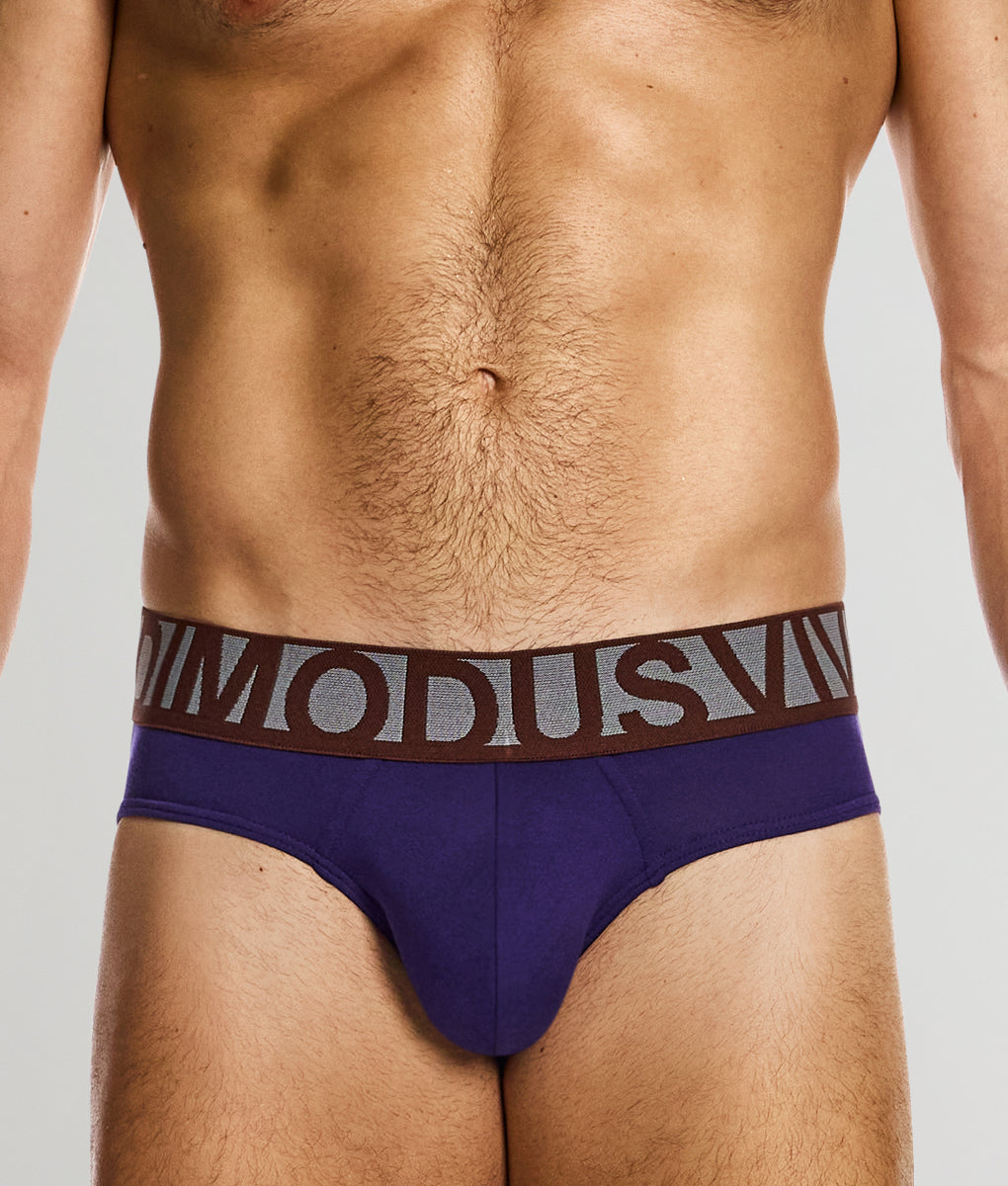 Modus Vivendi Classic Brief - Underwear Expert