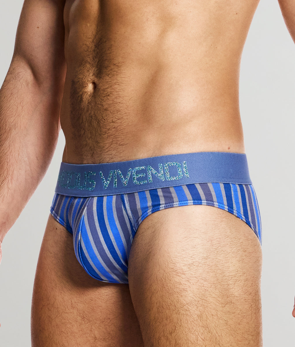 Modus Vivendi Classic Brief - Underwear Expert