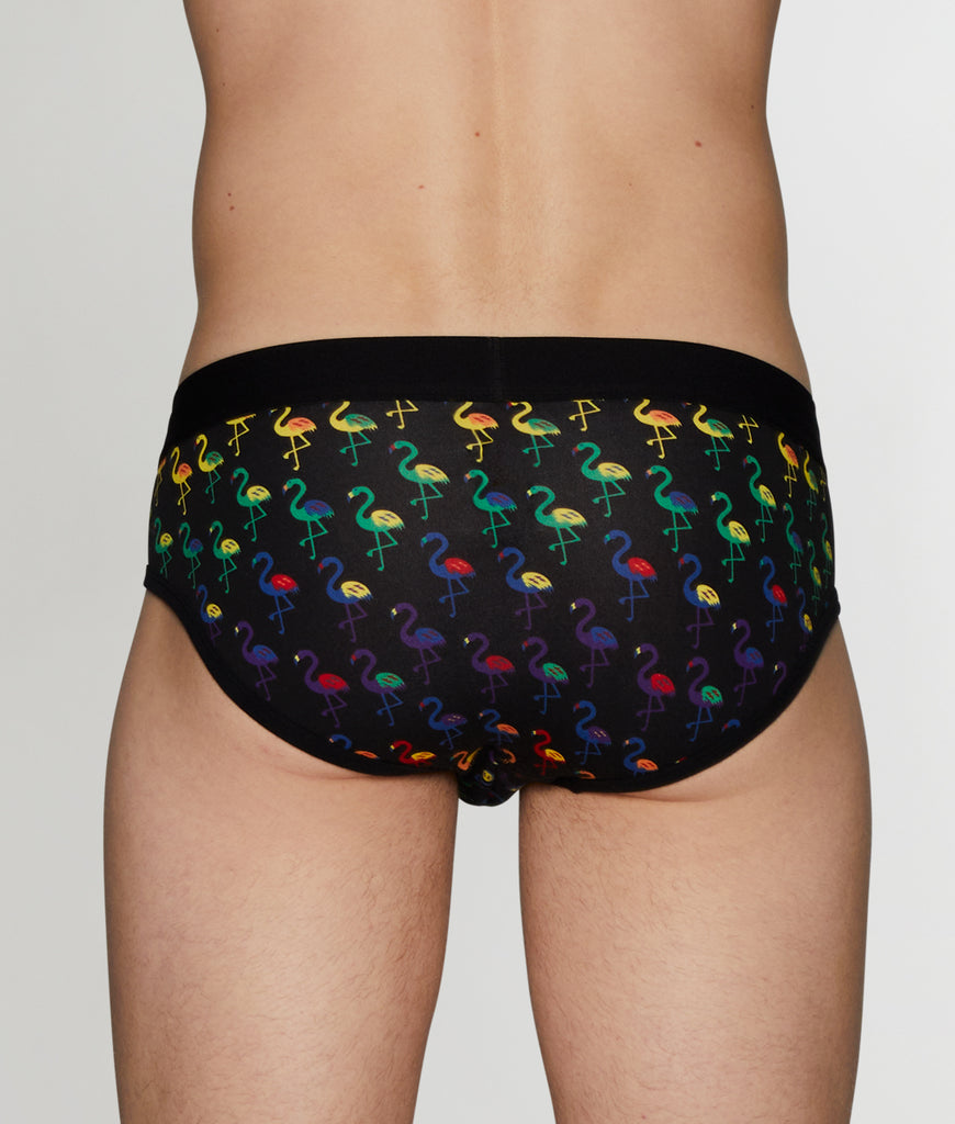 Unsimply Stitched Pride Flamingos Brief Unsimply Stitched Pride Flamingos Brief Pride-colors