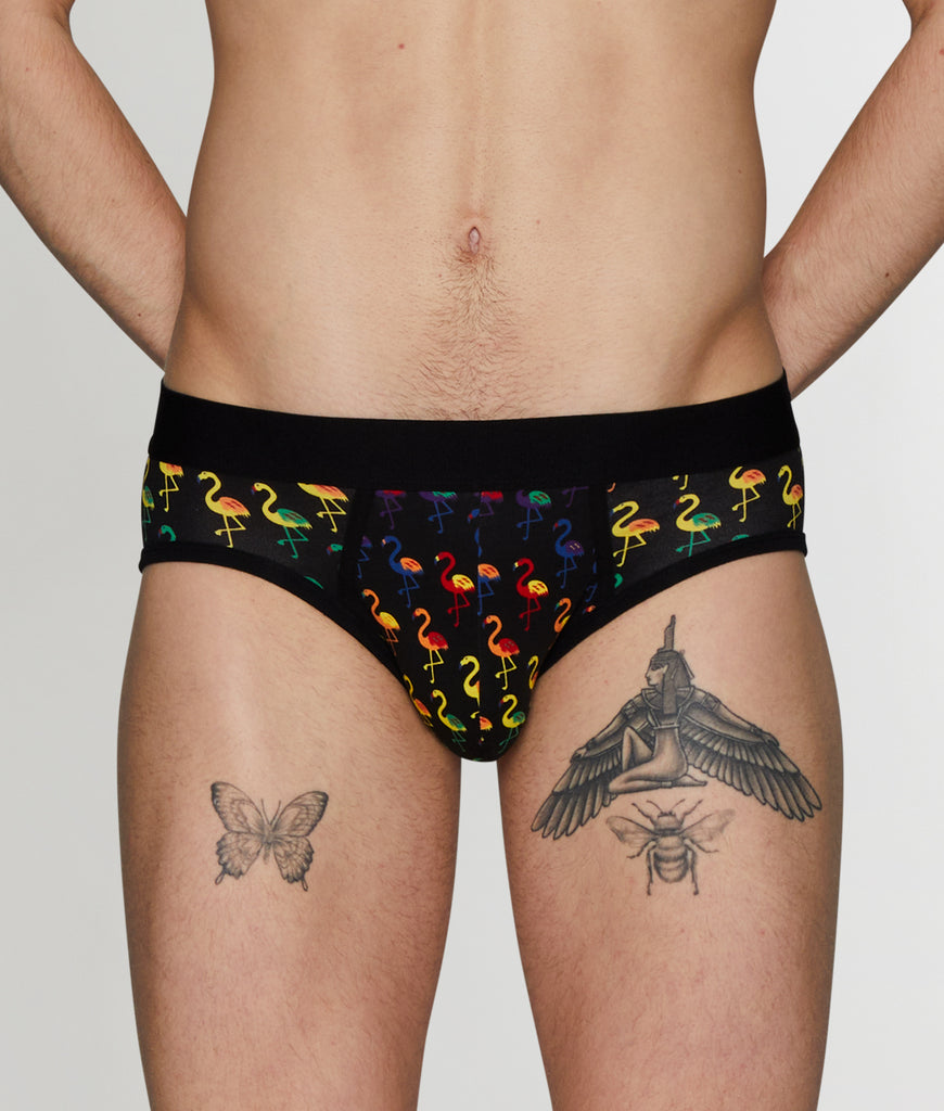 Unsimply Stitched Pride Flamingos Brief Unsimply Stitched Pride Flamingos Brief Pride-colors