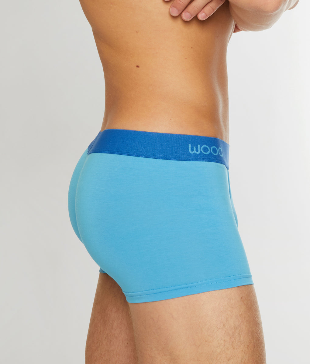 Wood Trunk Light-blue