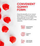 Friend of Dorothy Big D'Energy — men's supplement supporting energy, focus and immune health