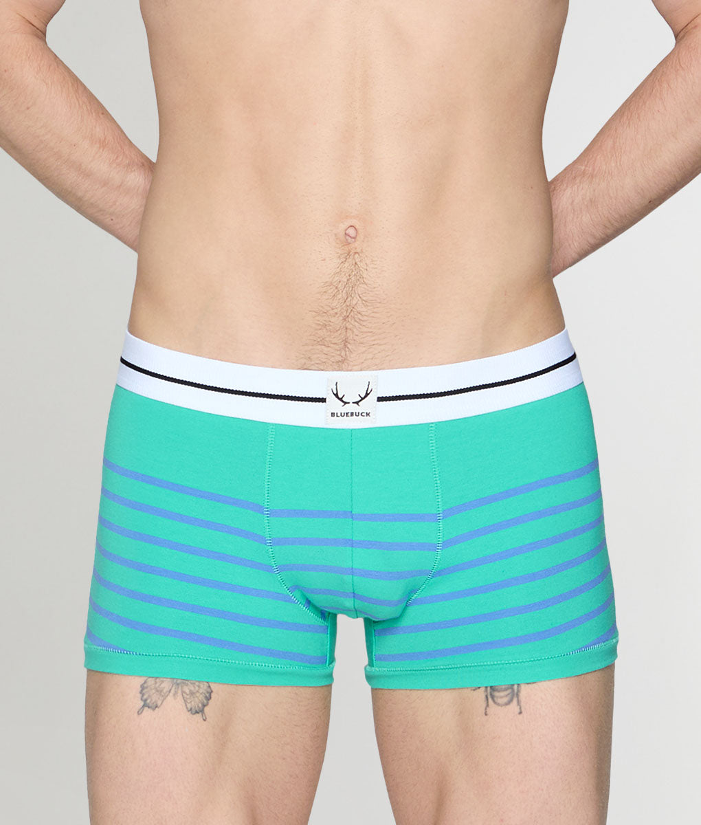Bluebuck Nautical 25 Trunk Mint-leaf-blue-yonder-stripes