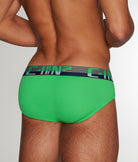C-IN2 C-Theory Brief Godfry-green