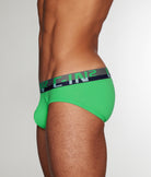 C-IN2 C-Theory Brief Godfry-green