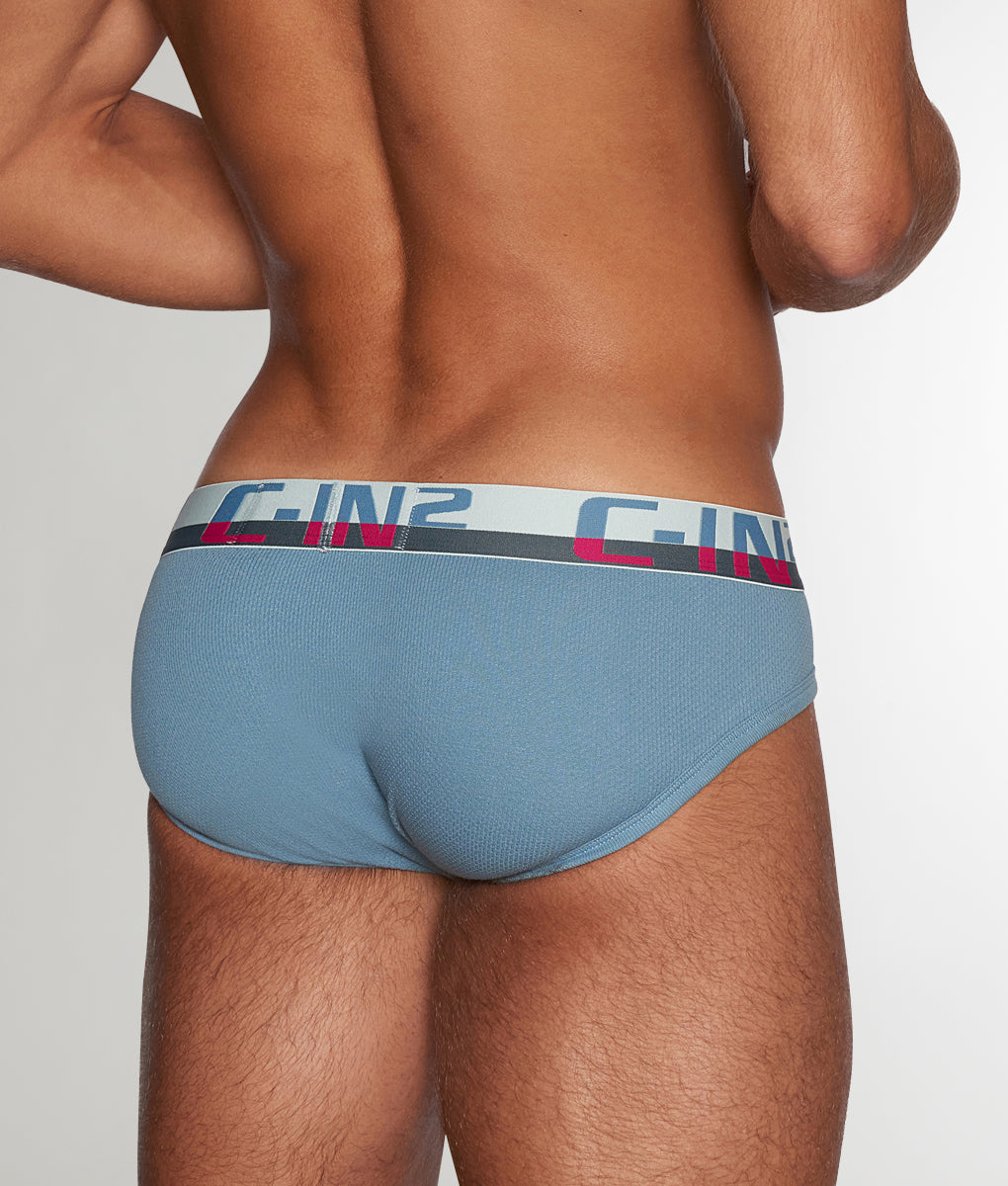 C-IN2 C-Theory Brief Borris-blue