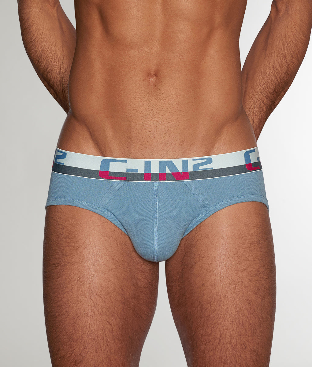 C-IN2 C-Theory Brief Borris-blue