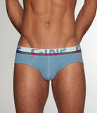 C-IN2 C-Theory Brief Borris-blue