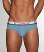 C-IN2 C-Theory Brief Borris-blue