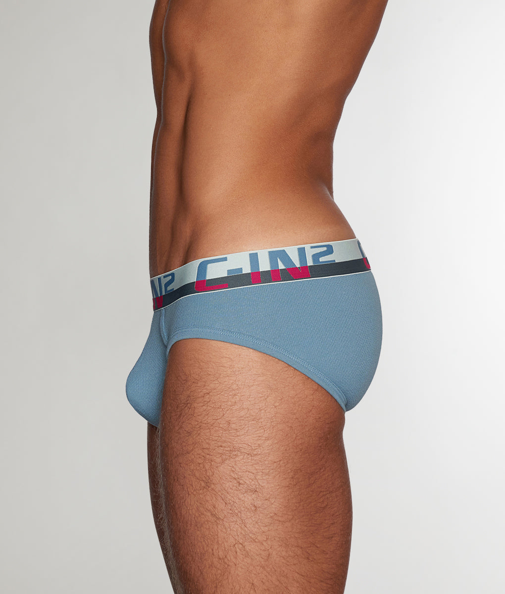 C-IN2 C-Theory Brief Borris-blue