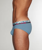 C-IN2 C-Theory Brief Borris-blue