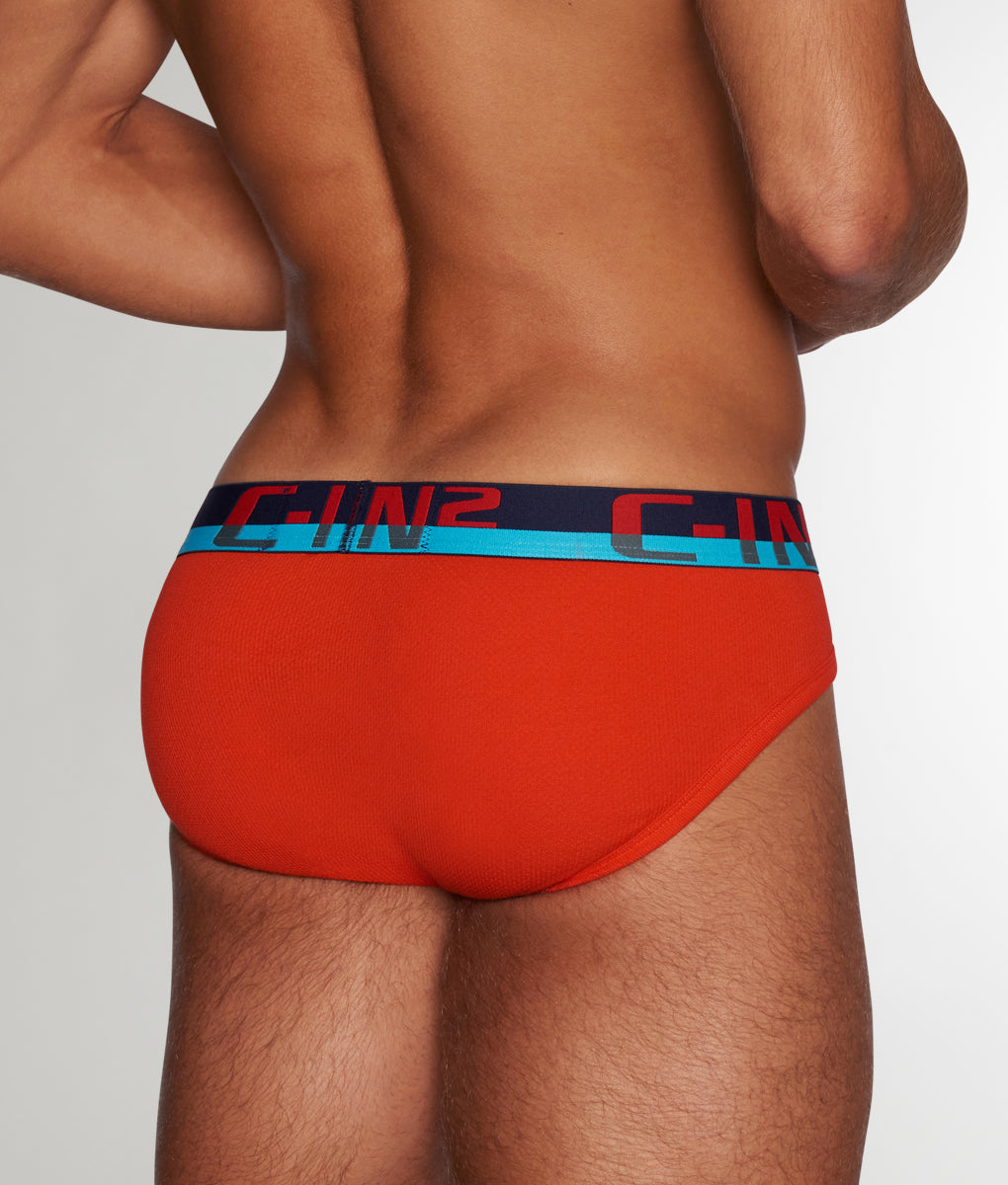 C-IN2 C-Theory Brief Ruel-red