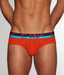 C-IN2 C-Theory Brief Ruel-red
