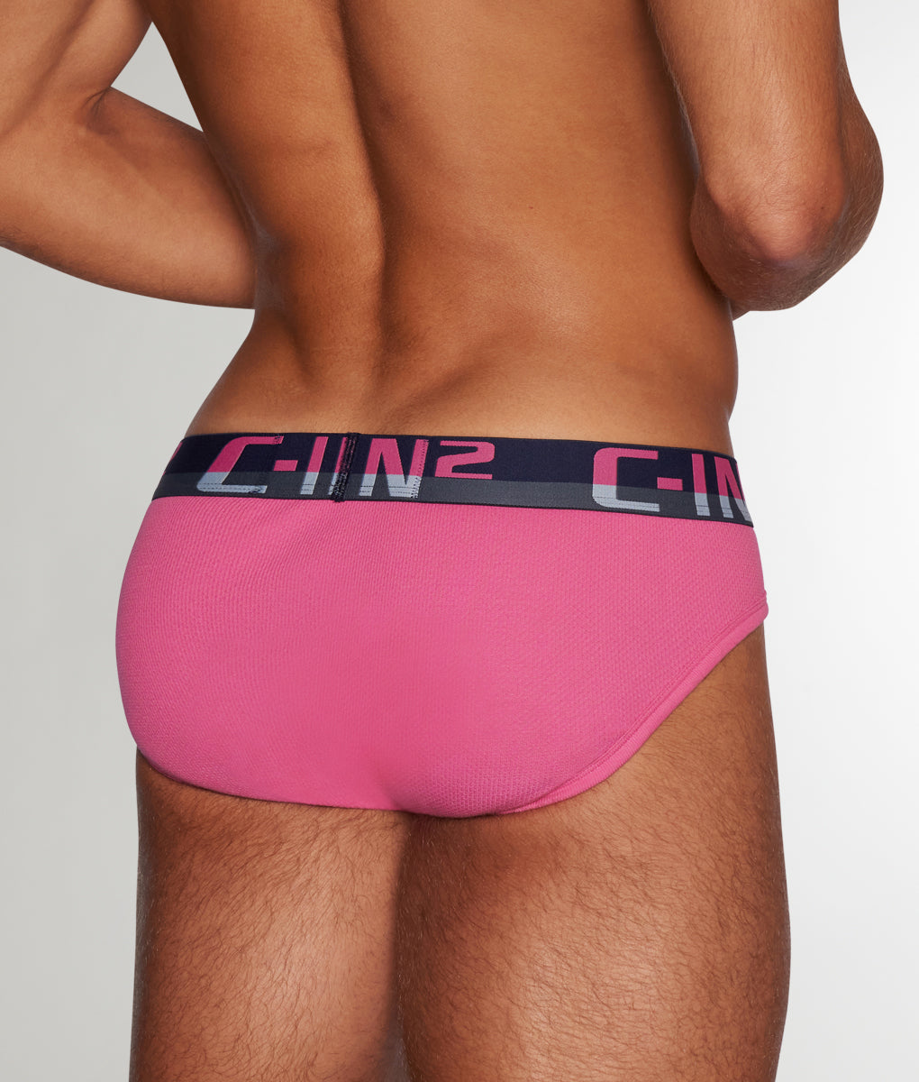 C-IN2 C-Theory Brief Plato-pink