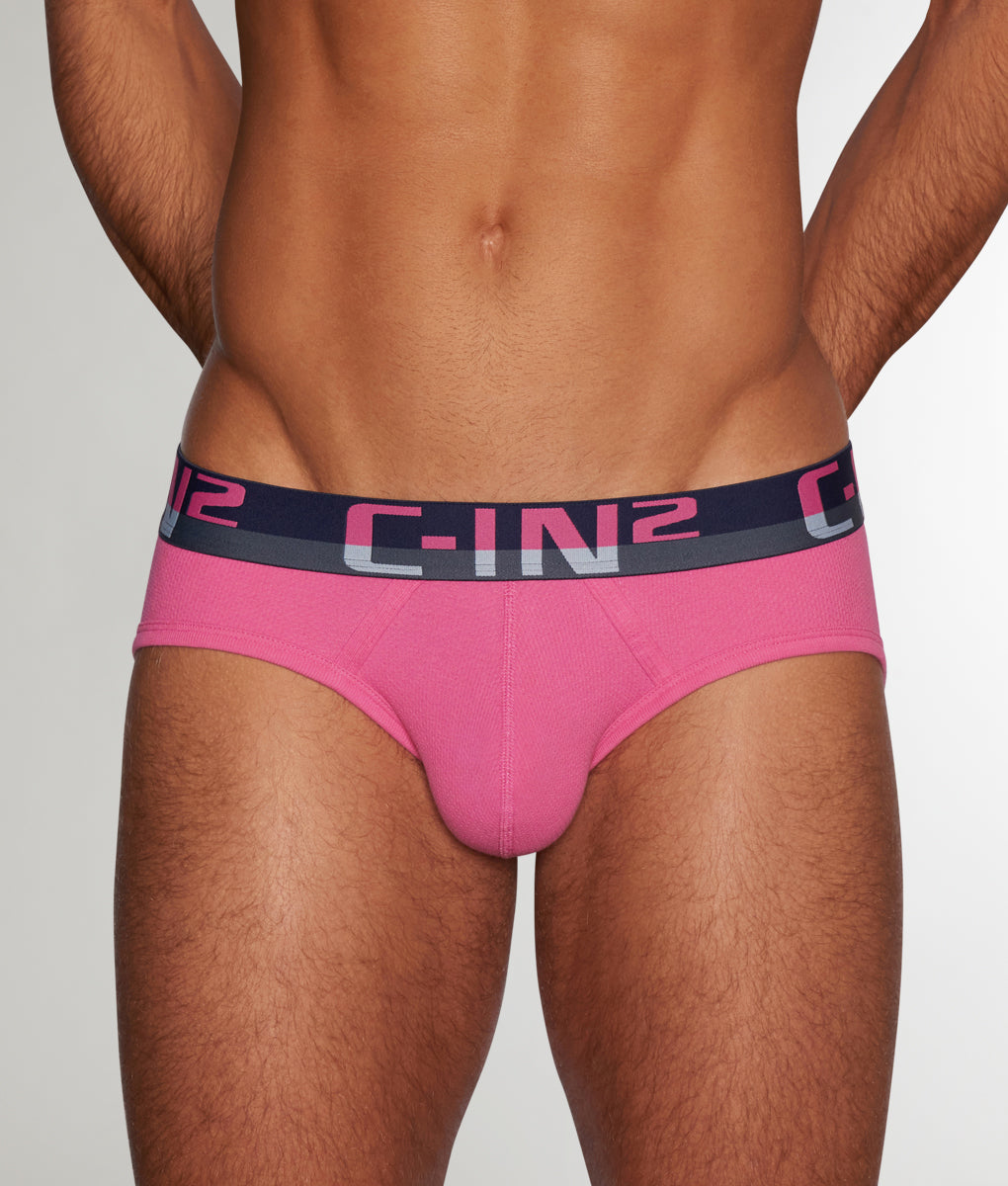 C-IN2 C-Theory Brief Plato-pink