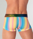 CODE 22 Pride 26 Trunk Stripes