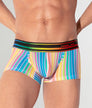 CODE 22 Pride 26 Trunk Stripes