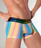 CODE 22 Pride 26 Trunk Stripes
