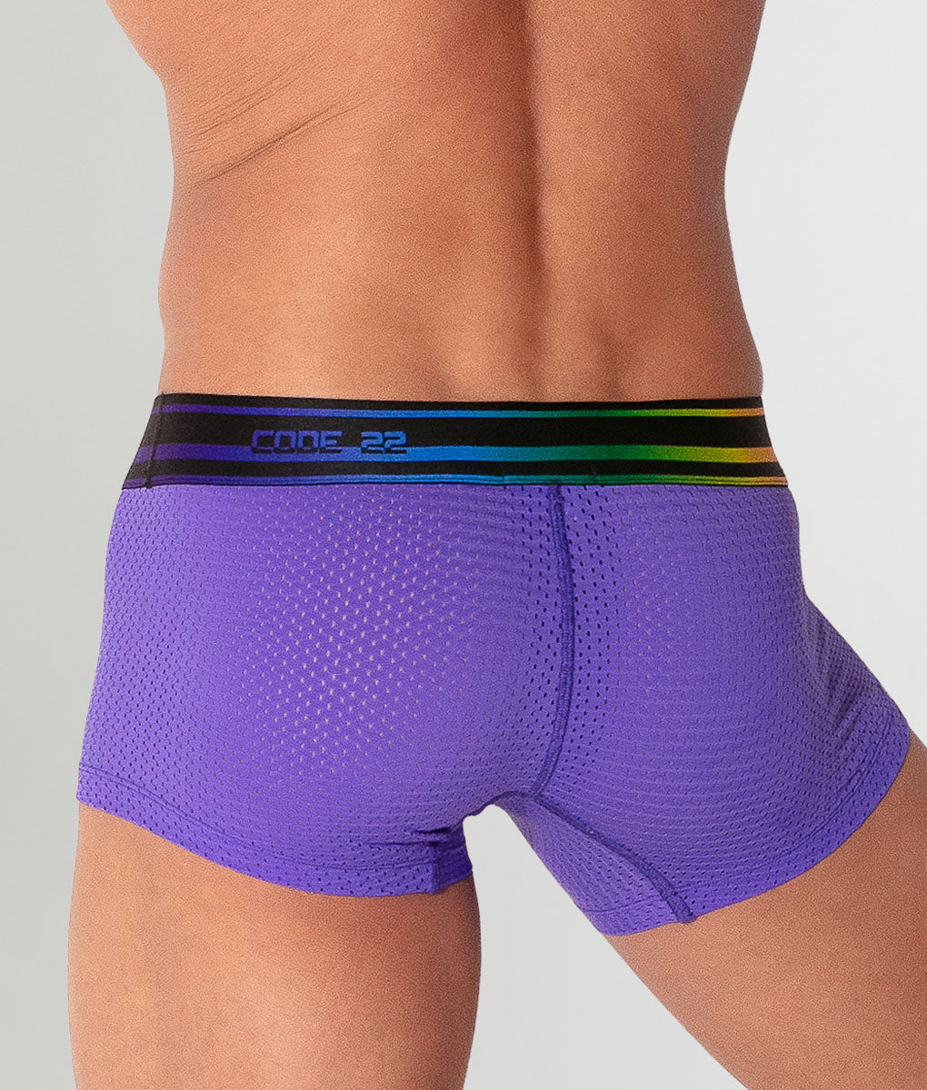 CODE 22 Pride 26 Trunk Grape
