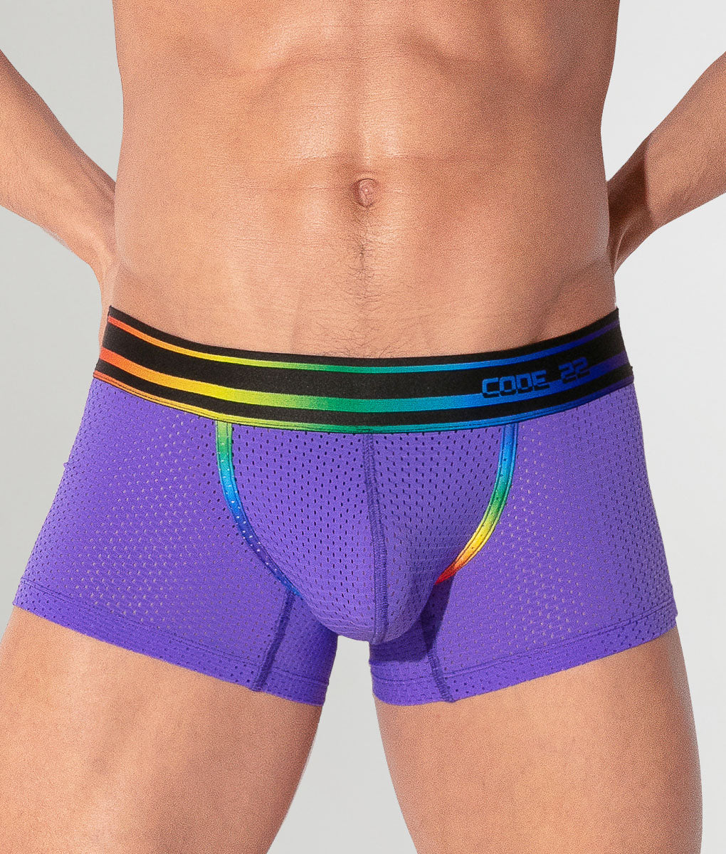 CODE 22 Pride 26 Trunk Grape