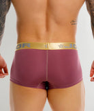 JOR Soho Trunk Wine - men's low-rise microfiber trunk, back view