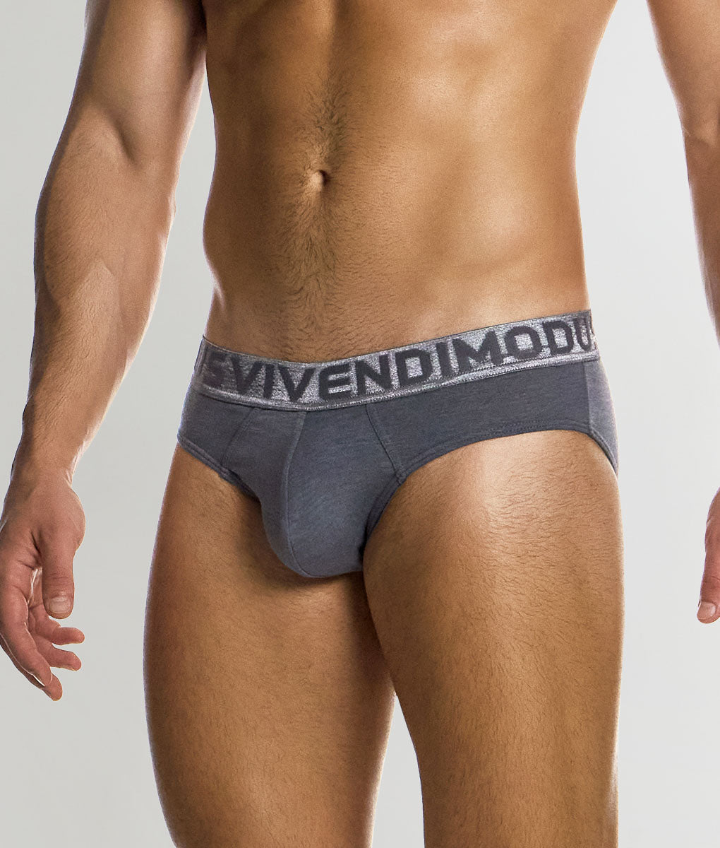 Modus Vivendi Silk Classic Brief Grey