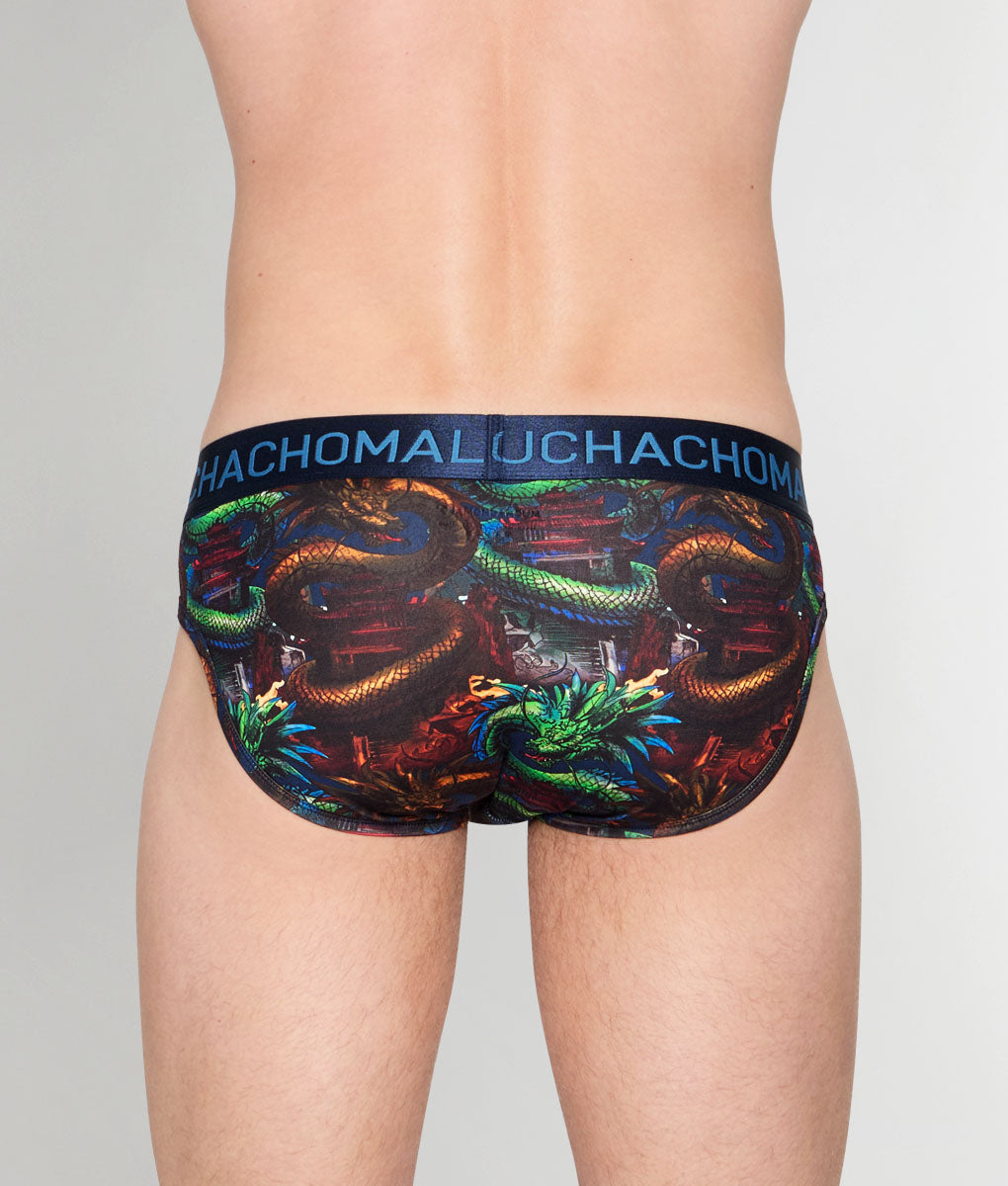 Muchachomalo Dragon Brief Dragon