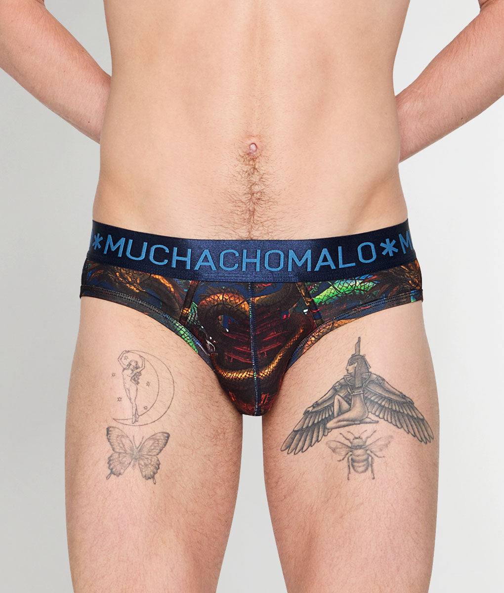 Muchachomalo Dragon Brief Dragon