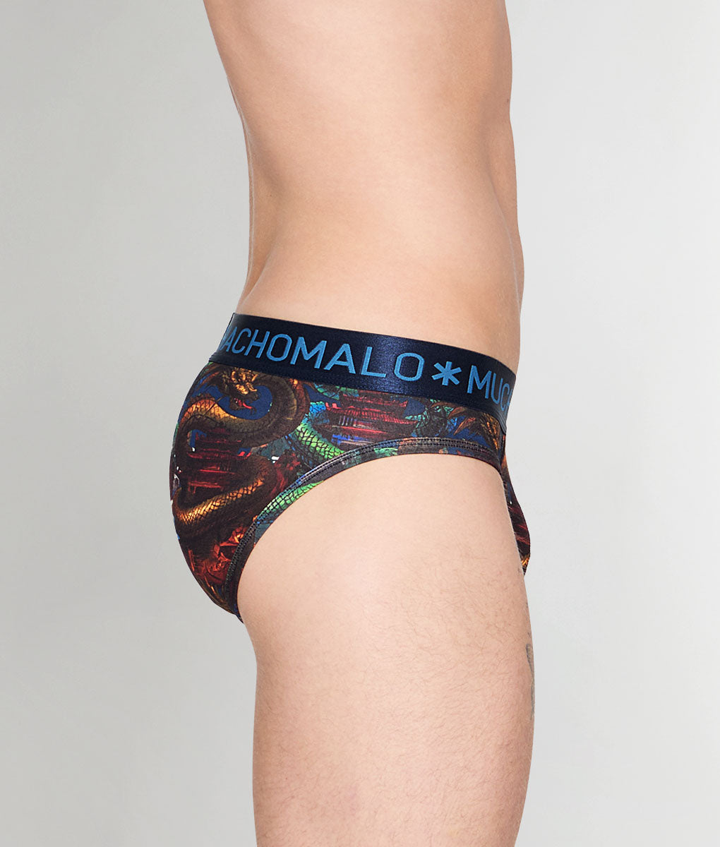Muchachomalo Dragon Brief Dragon