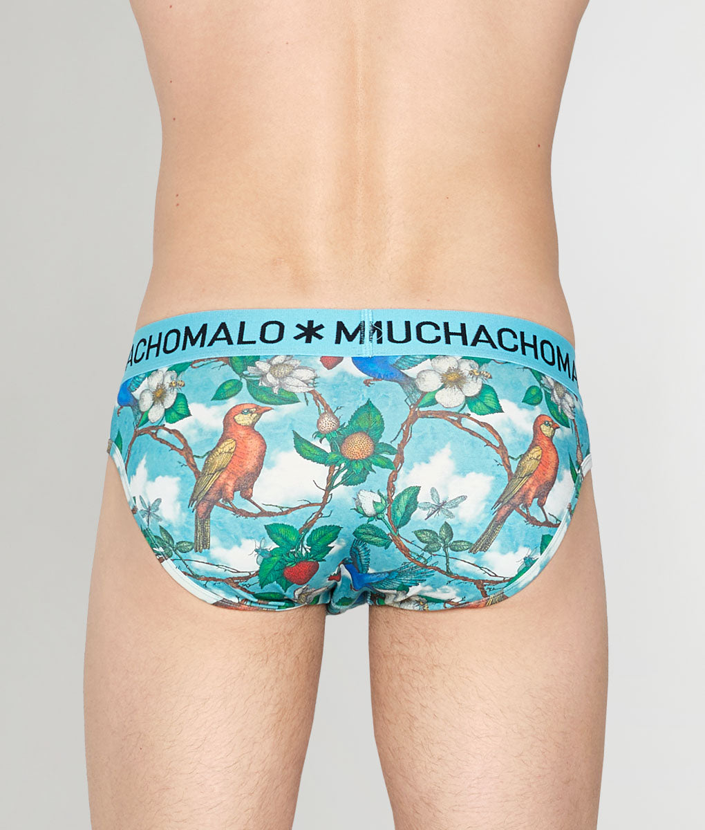 Muchachomalo Fruit Origin Brief Fruit-origin-print-a
