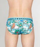 Muchachomalo Fruit Origin Brief Fruit-origin-print-a