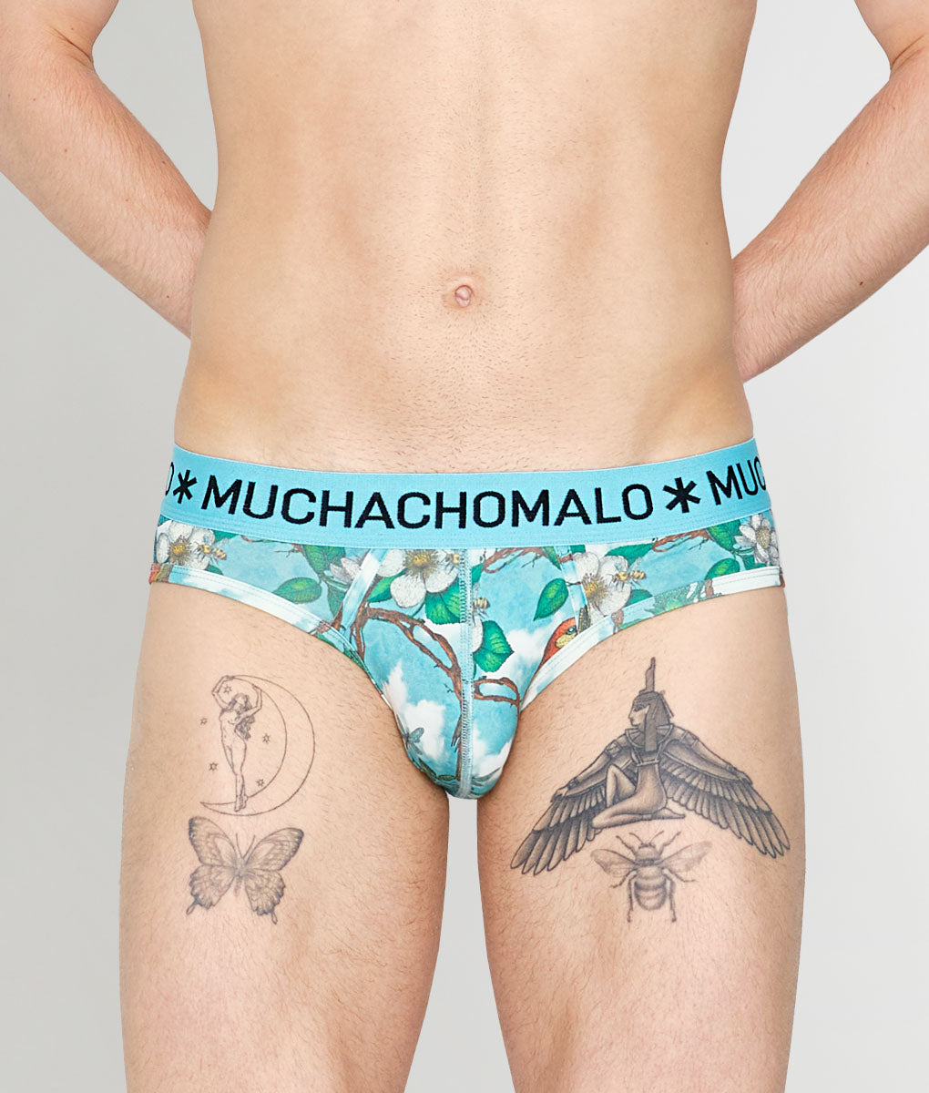 Muchachomalo Fruit Origin Brief Fruit-origin-print-a