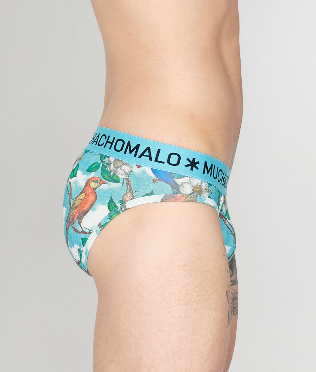 Muchachomalo Fruit Origin Brief Fruit-origin-print-a