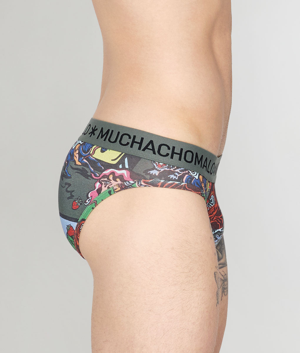 Muchachomalo Fruit Origin Brief Fruit-origin-print-b