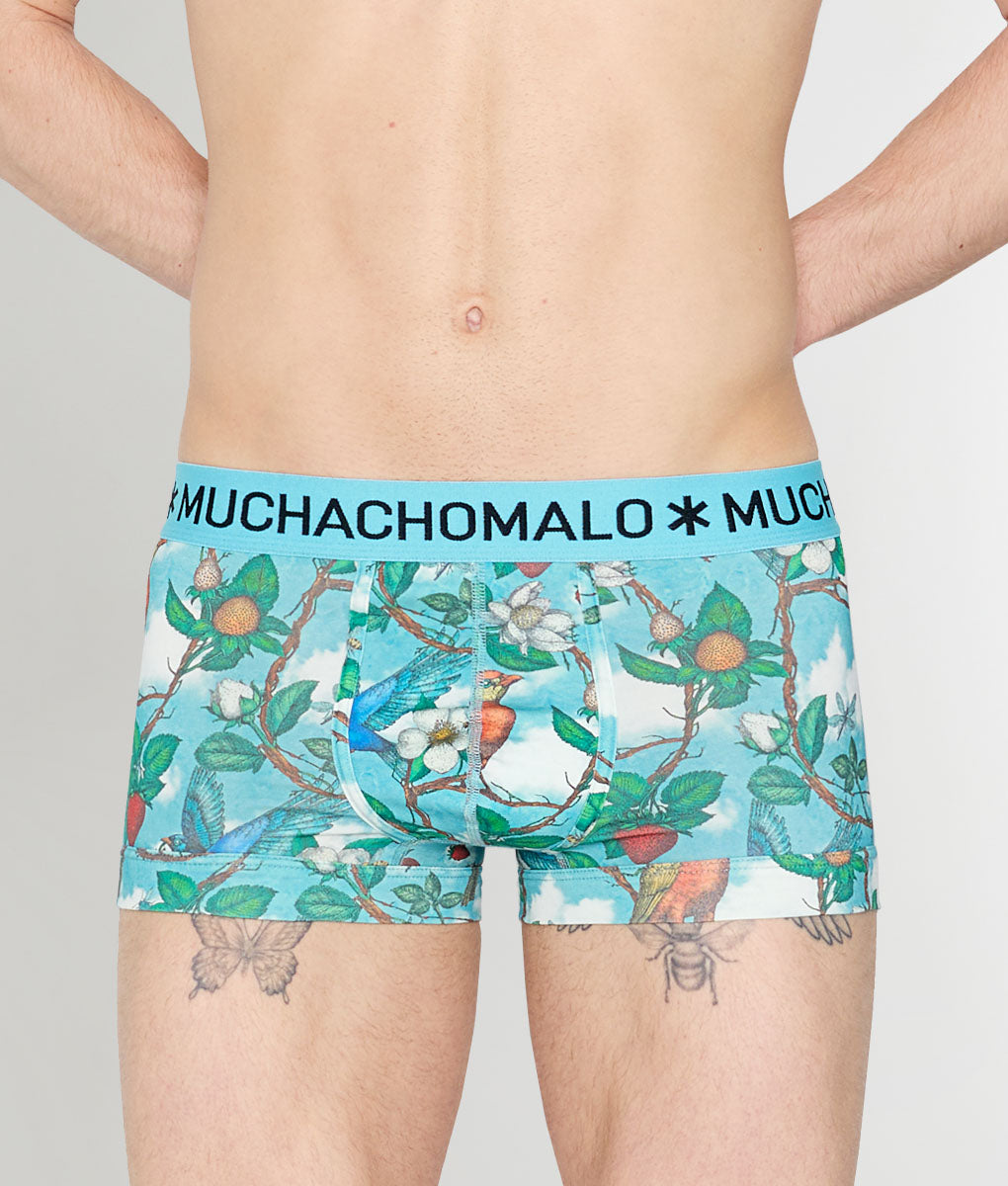 Muchachomalo Fruit Origin Trunk Fruit-origin-print-a