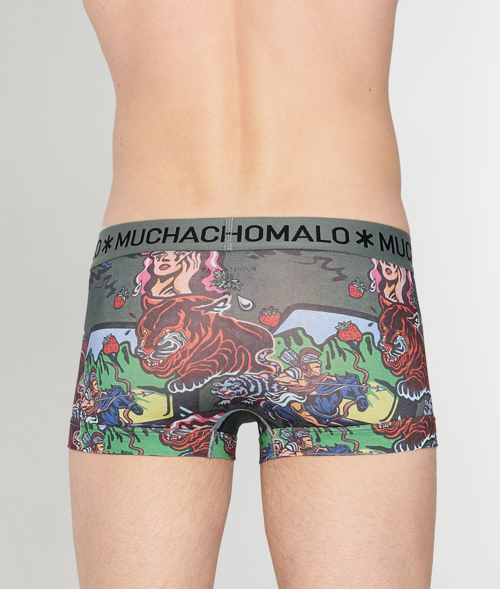 Muchachomalo Fruit Origin Trunk Fruit-origin-print-b