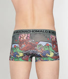 Muchachomalo Fruit Origin Trunk Fruit-origin-print-b