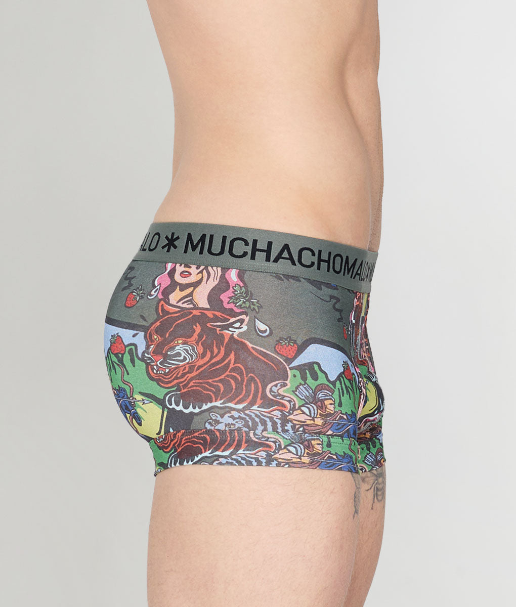 Muchachomalo Fruit Origin Trunk Fruit-origin-print-b