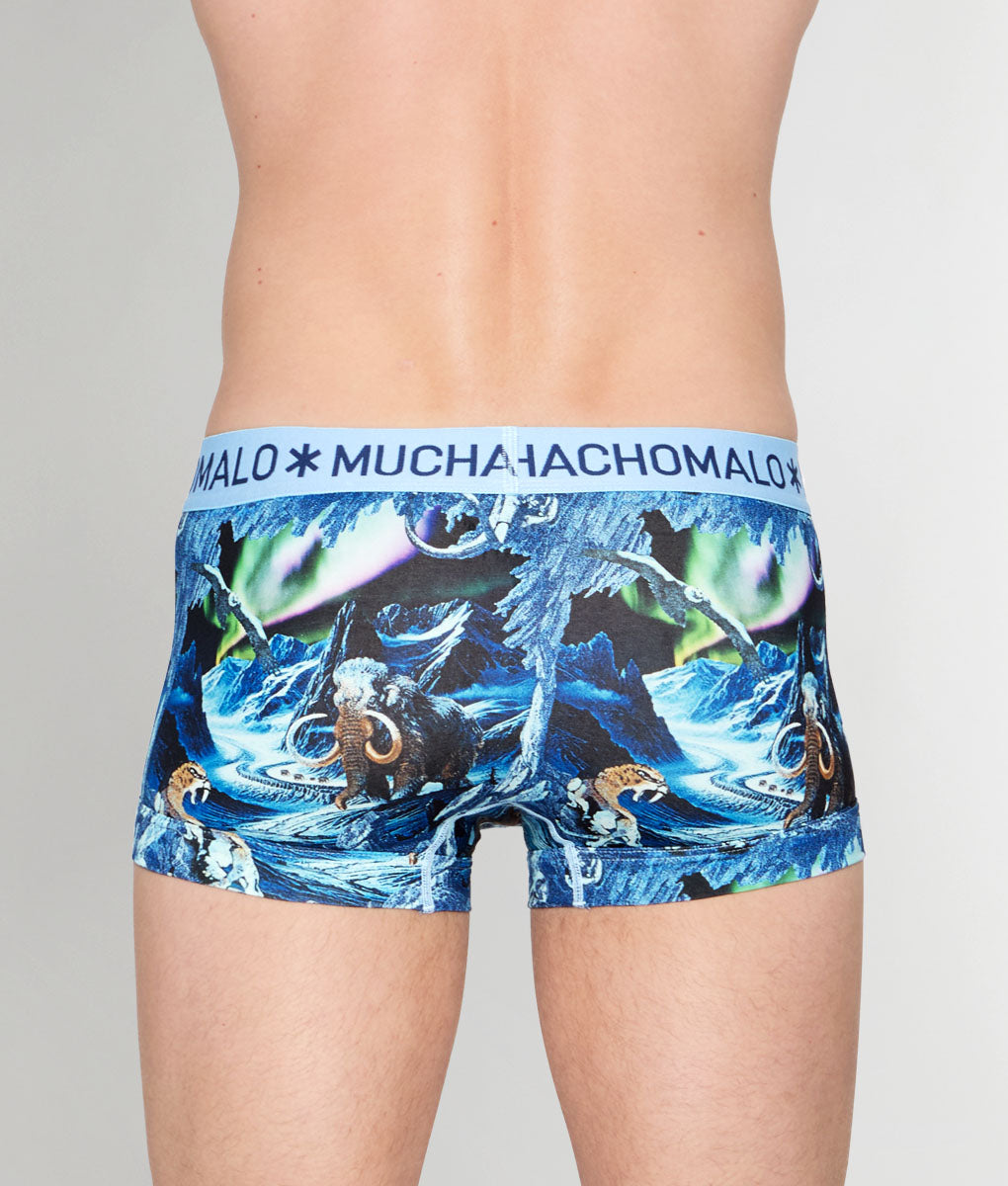 Muchachomalo Pre History Trunk Pre-history